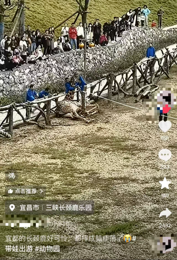보스 보스 토토