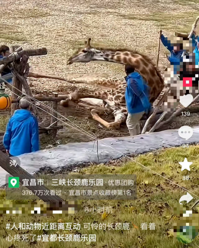 보스 토토