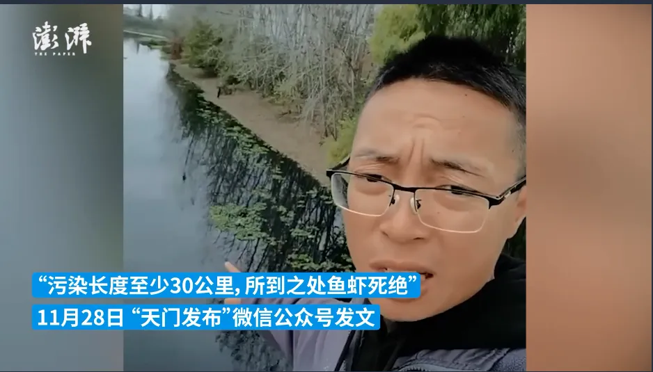와이즈 스포츠 와이즈 스포츠 토토