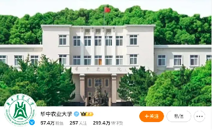 토토 결과