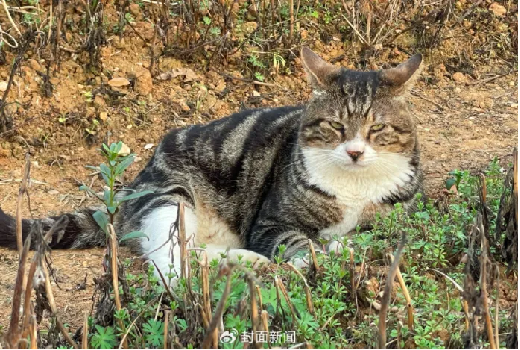 토토 결과
