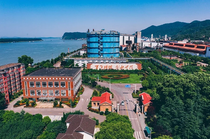 윈 토토