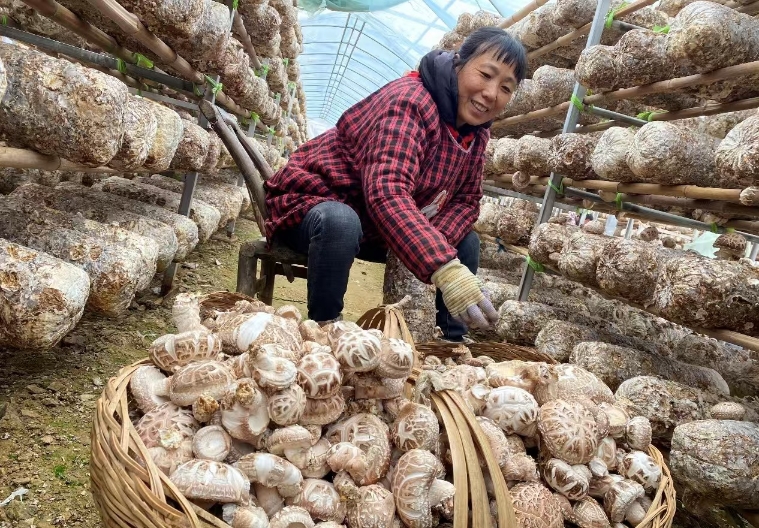 메이저 토토 사이트