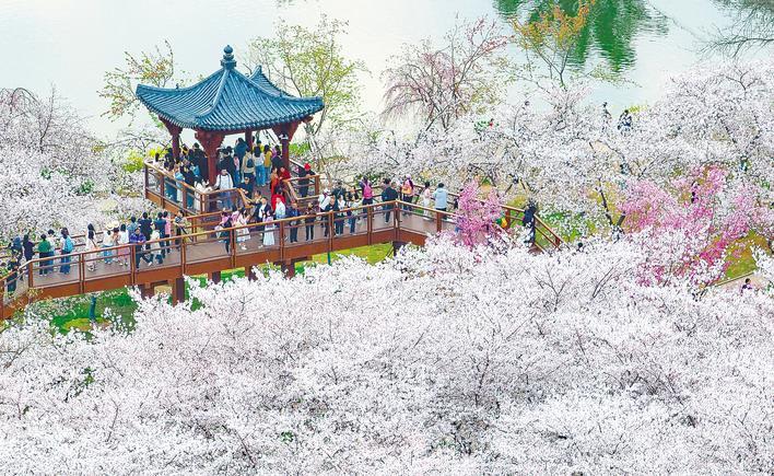 스포츠 스포츠 토토 배트맨 배트맨