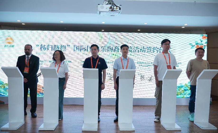 스포츠 스포츠 토토 사이트 사이트