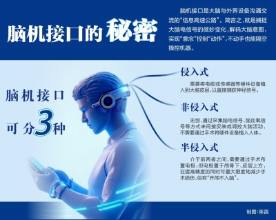 토토 사이트 순위