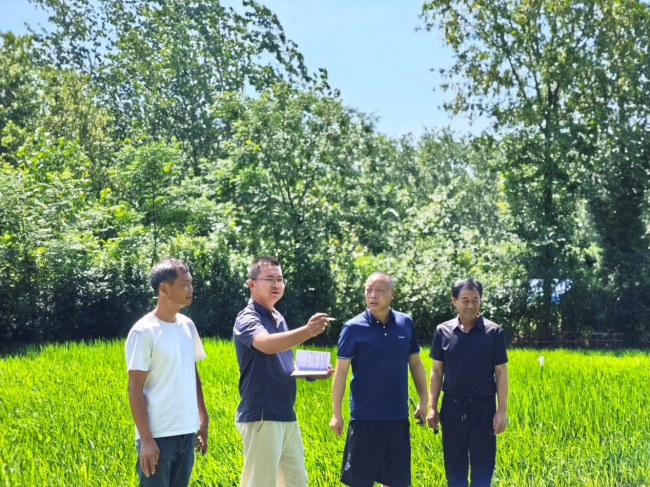 와이즈 스포츠 와이즈 스포츠 토토