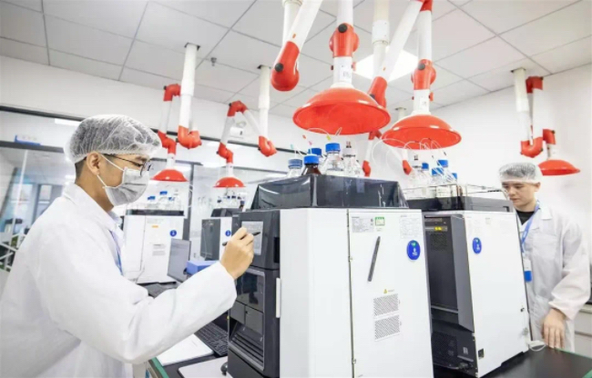 메이저 토토 사이트