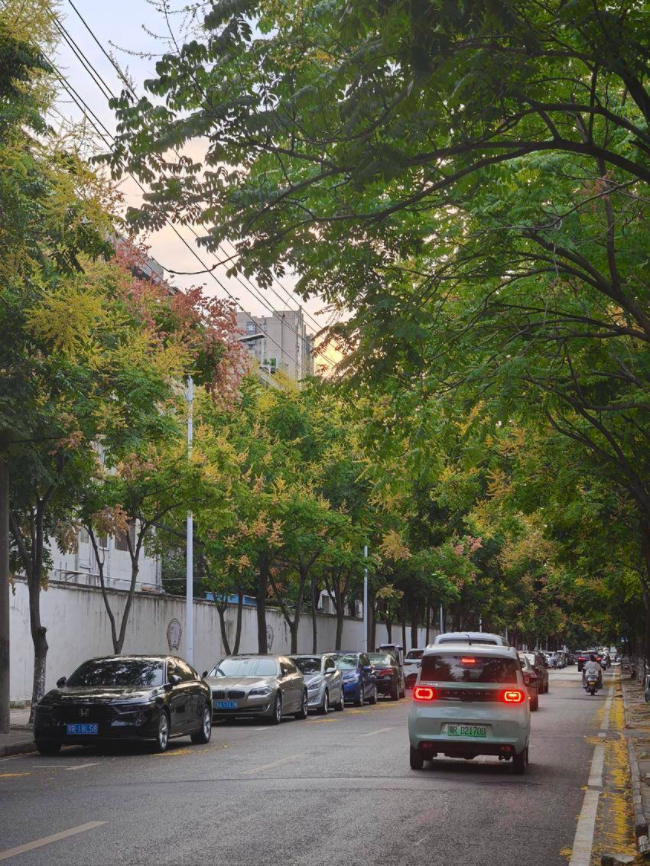 토토 사이트 순위
